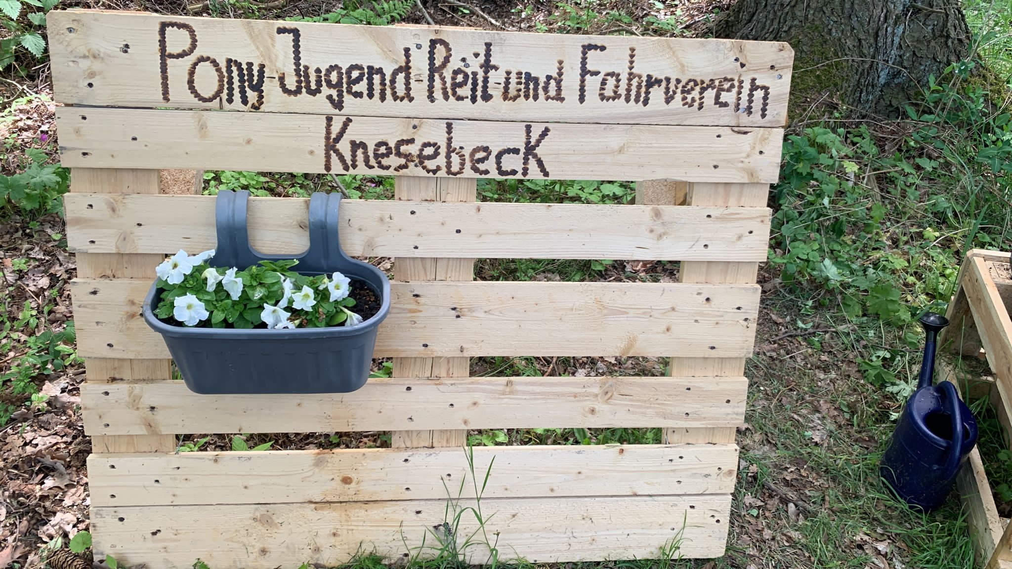 Veränderung im Reitverein zugunsten der Bienen und unseren Vereinsmitgliedern