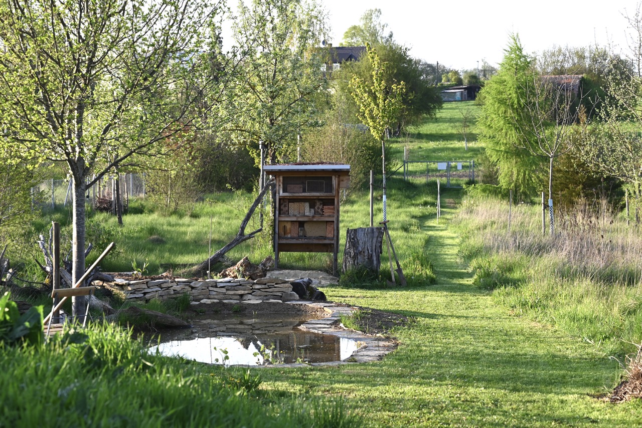 Naturgarten Langenau – für Artenschutz begeistern