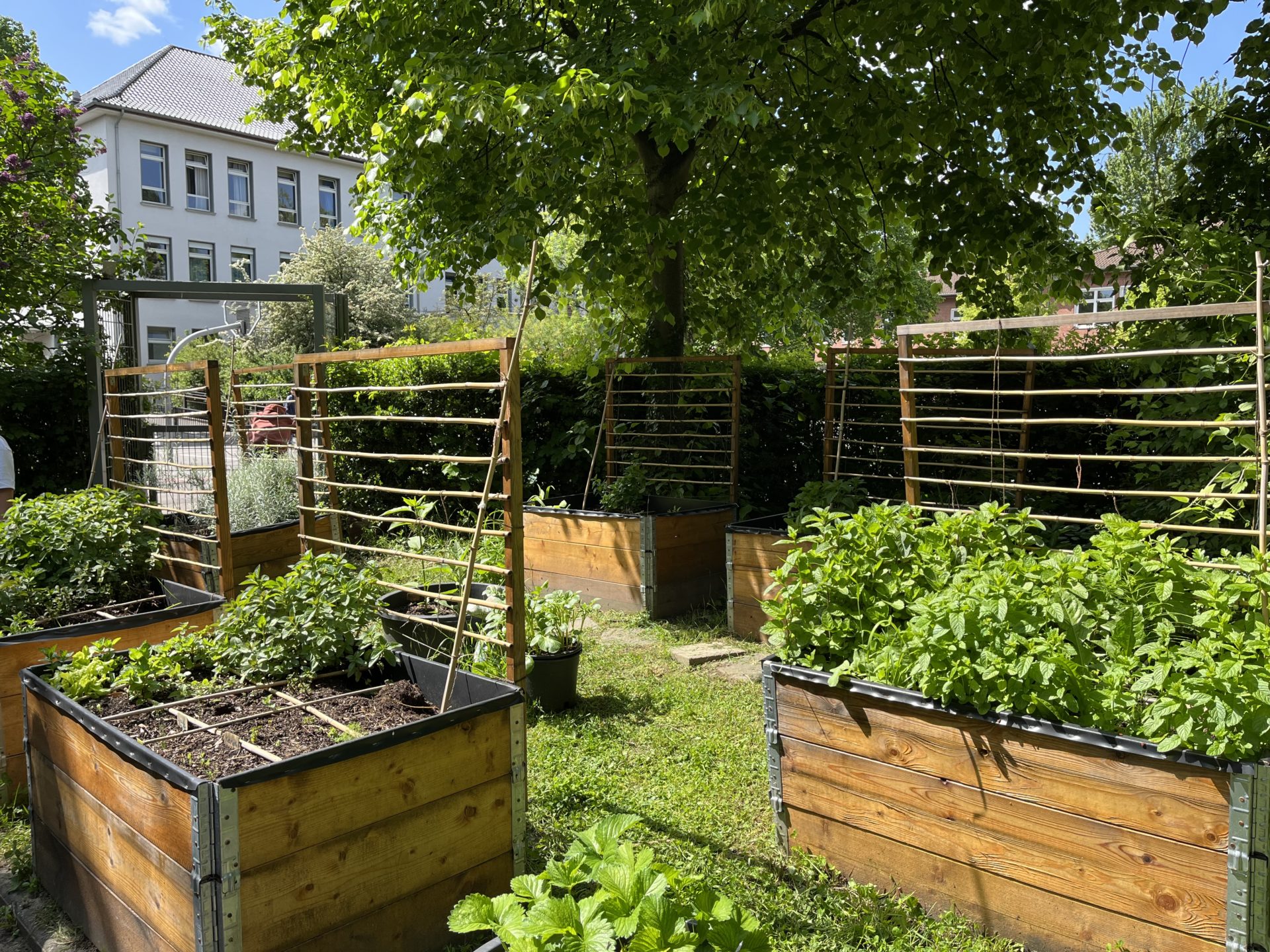 KarottenKids der Astrid Lindgren-Grundschule Mülheim an der Ruhr