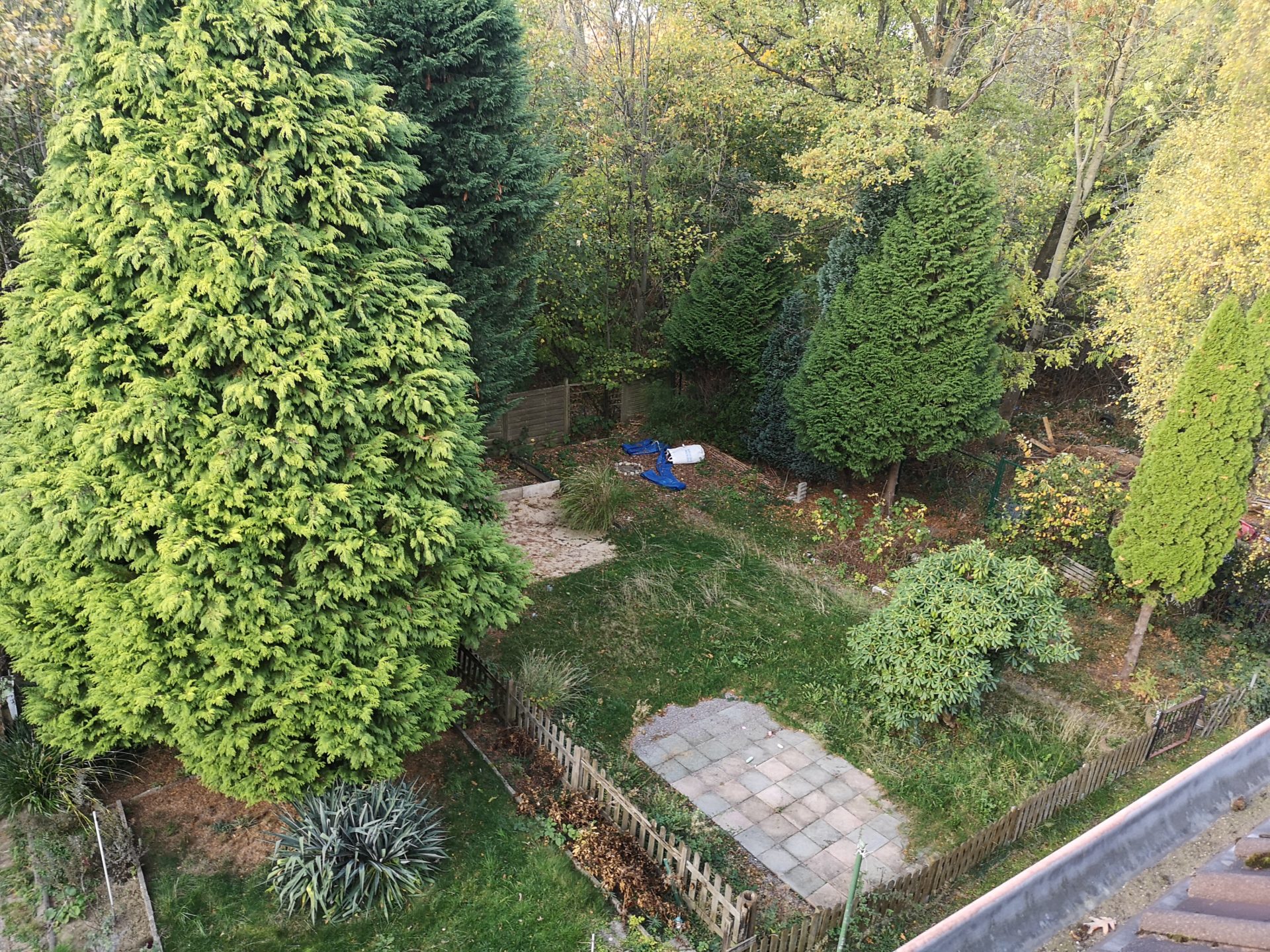 Neugestaltung der verwilderten Gartenparzelle unserer neuen Wohnung