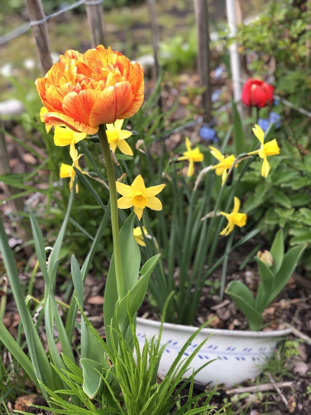 Der antiautoritäre Garten