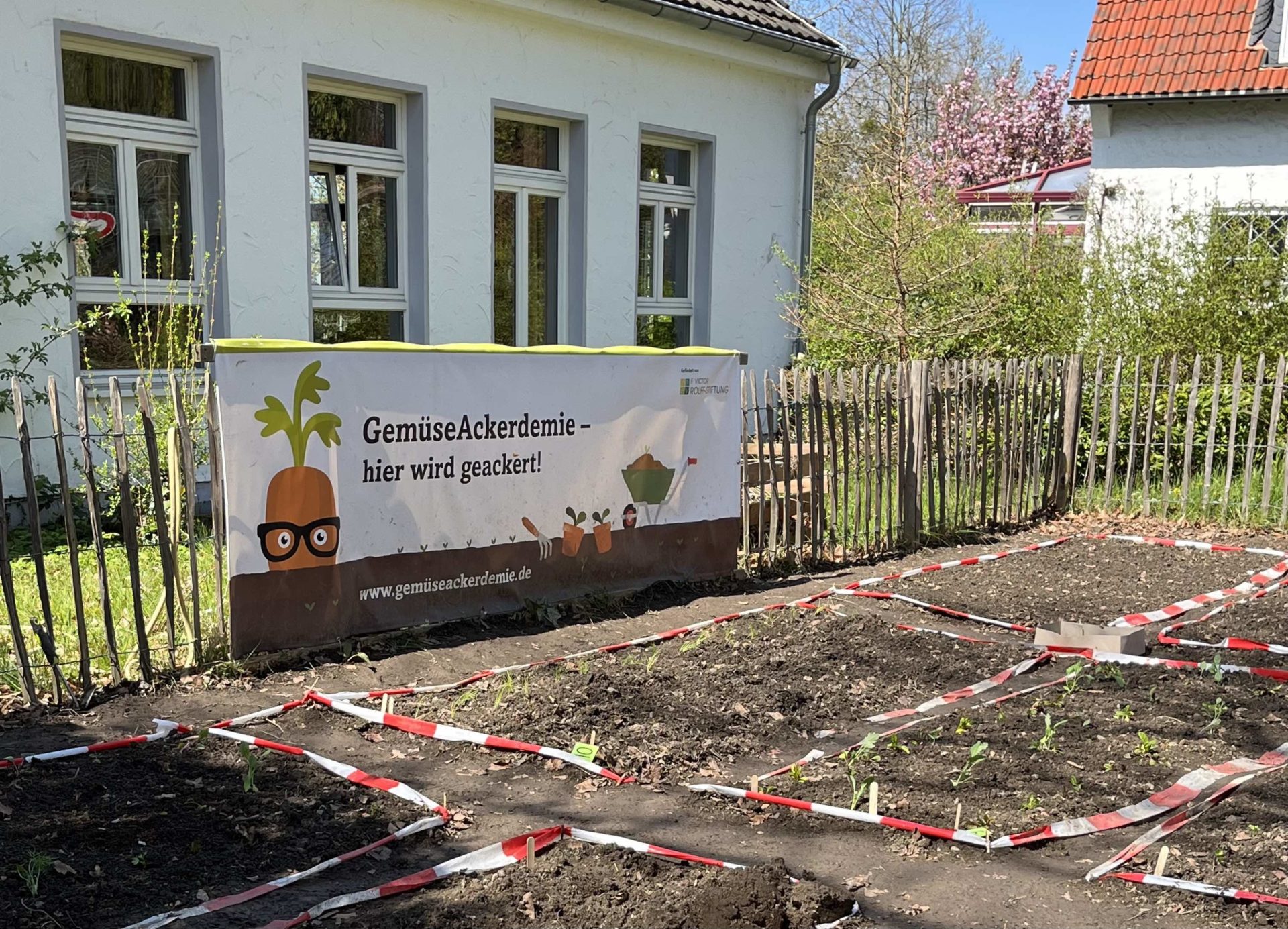 On the way to BEE bunt – Anlegen eines bienenfreundlichen Blühstreifens rund um unseren Schulacker