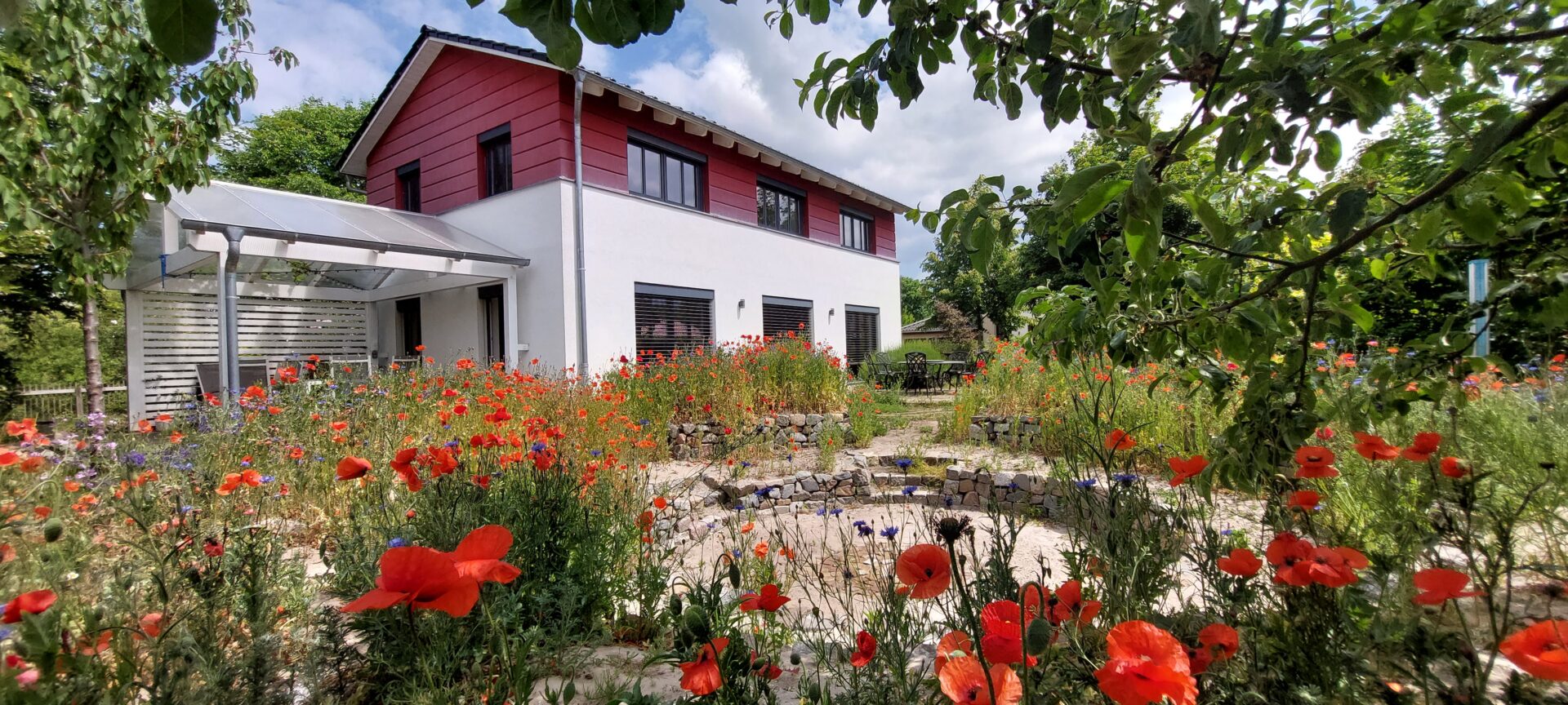 Amphibientheater