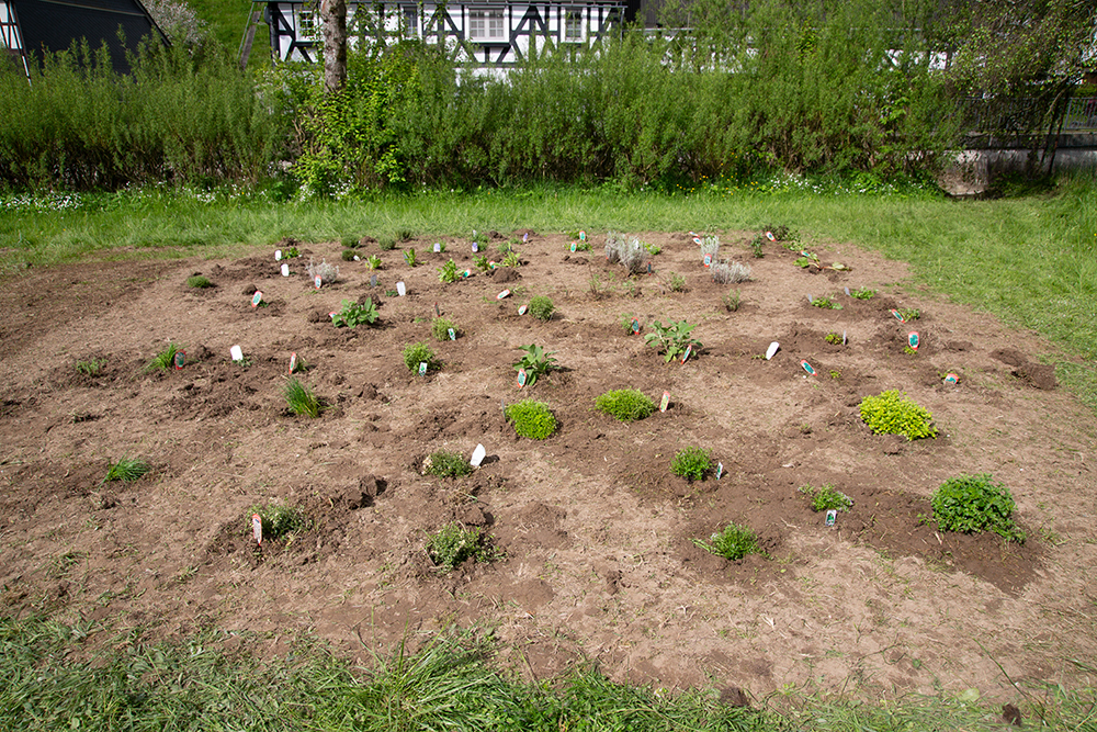 Draußenklassenzimmer mit Kräuterbeet, Wildblumenwiese und Bienenschaukasten gestalten