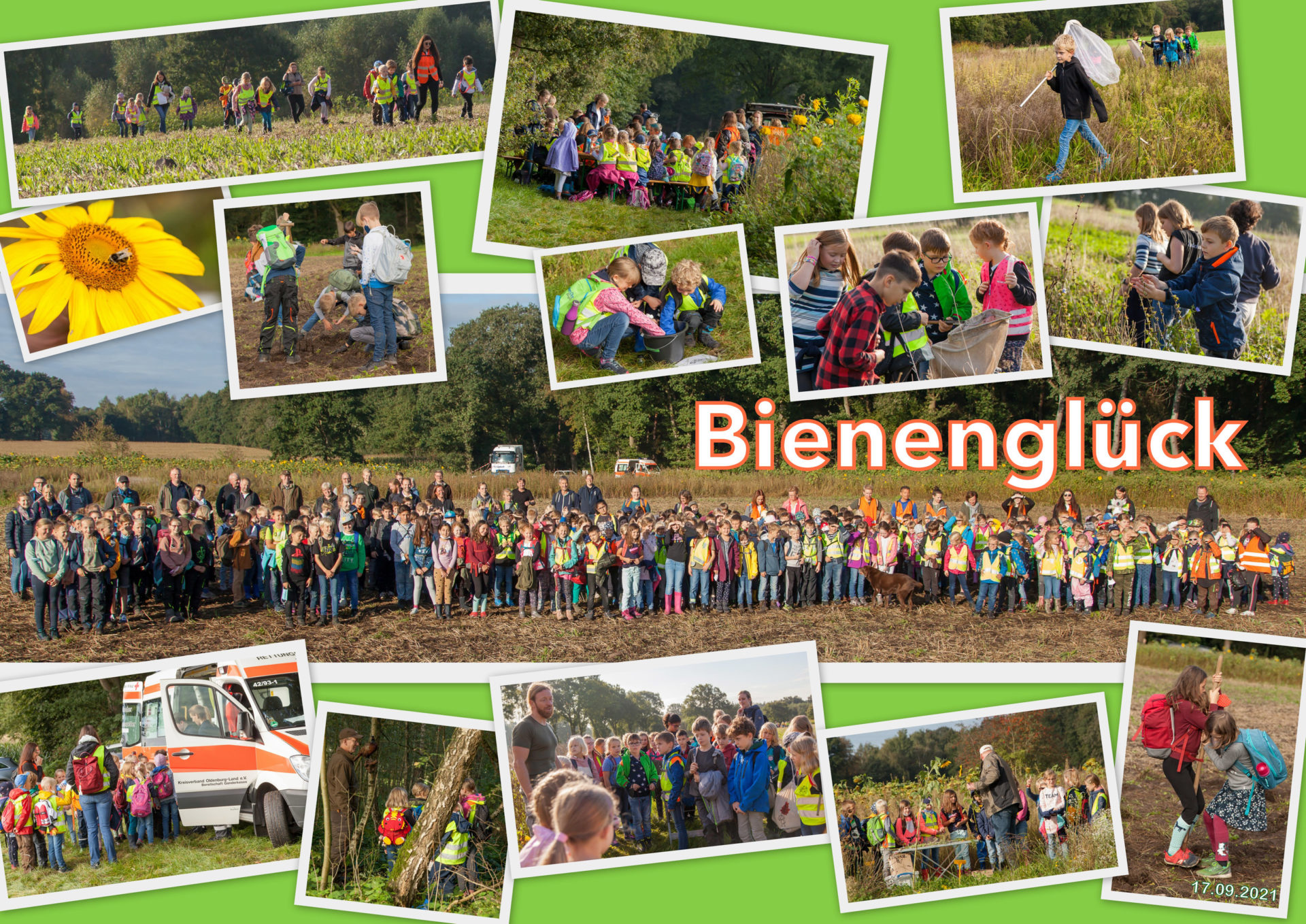 Wander – und Aktionstage ins Bienenglück
