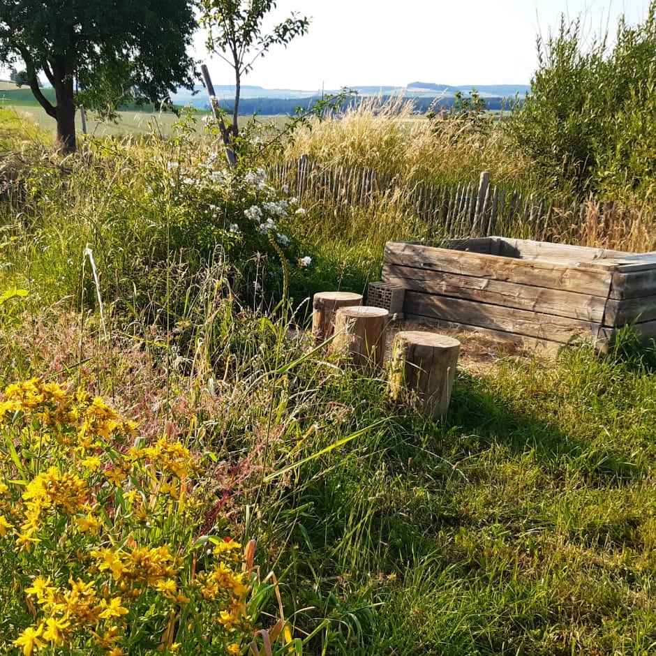 Das wilde Feld