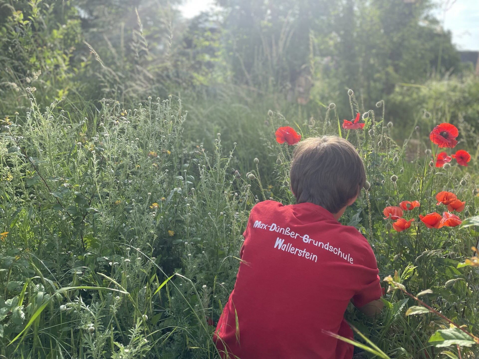Unser Schulgartenprojekt – Go Green Challenge