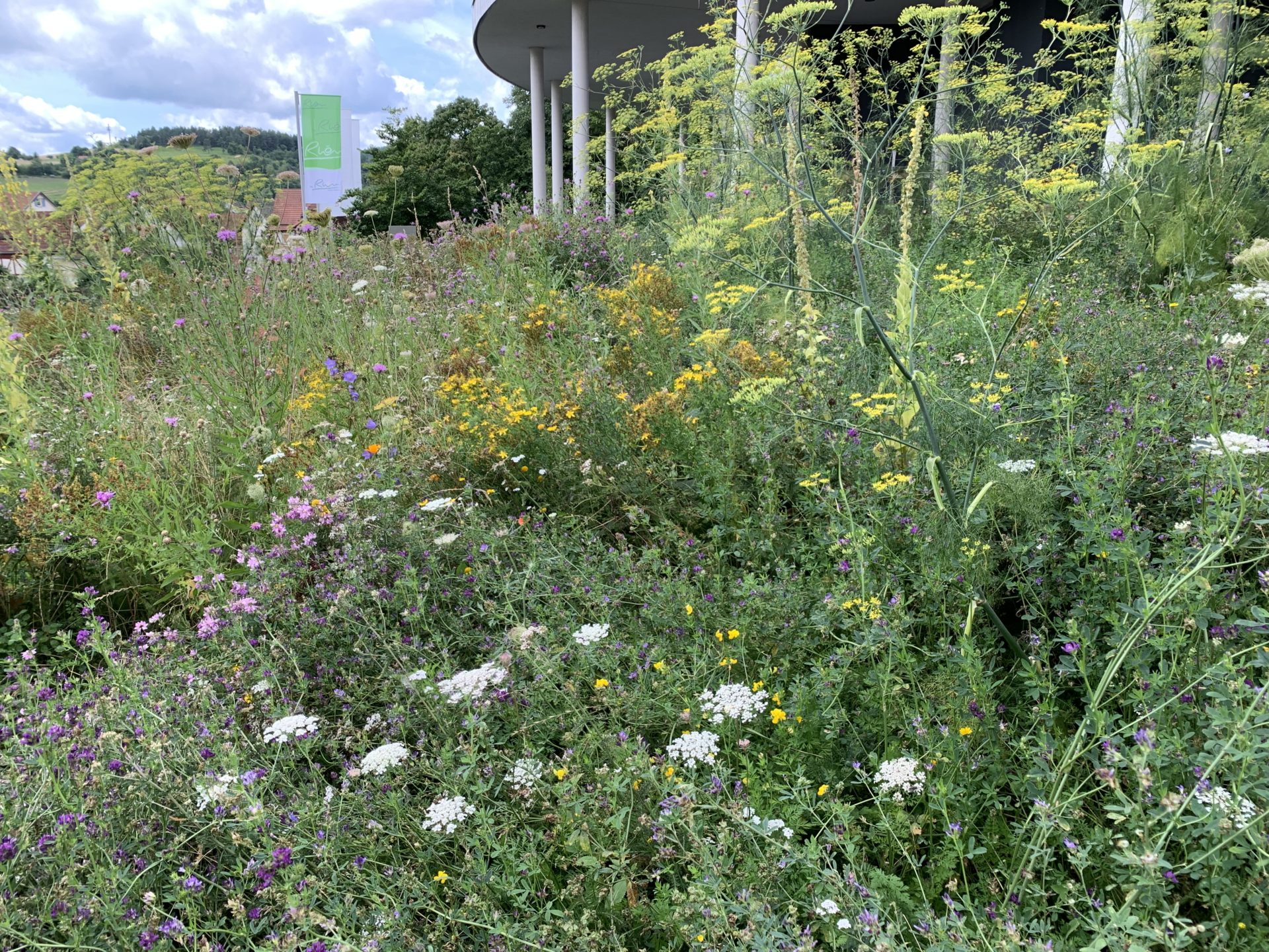 Förderung von Naturnahen Gärten im Landkreis Rhön- Grabfeld