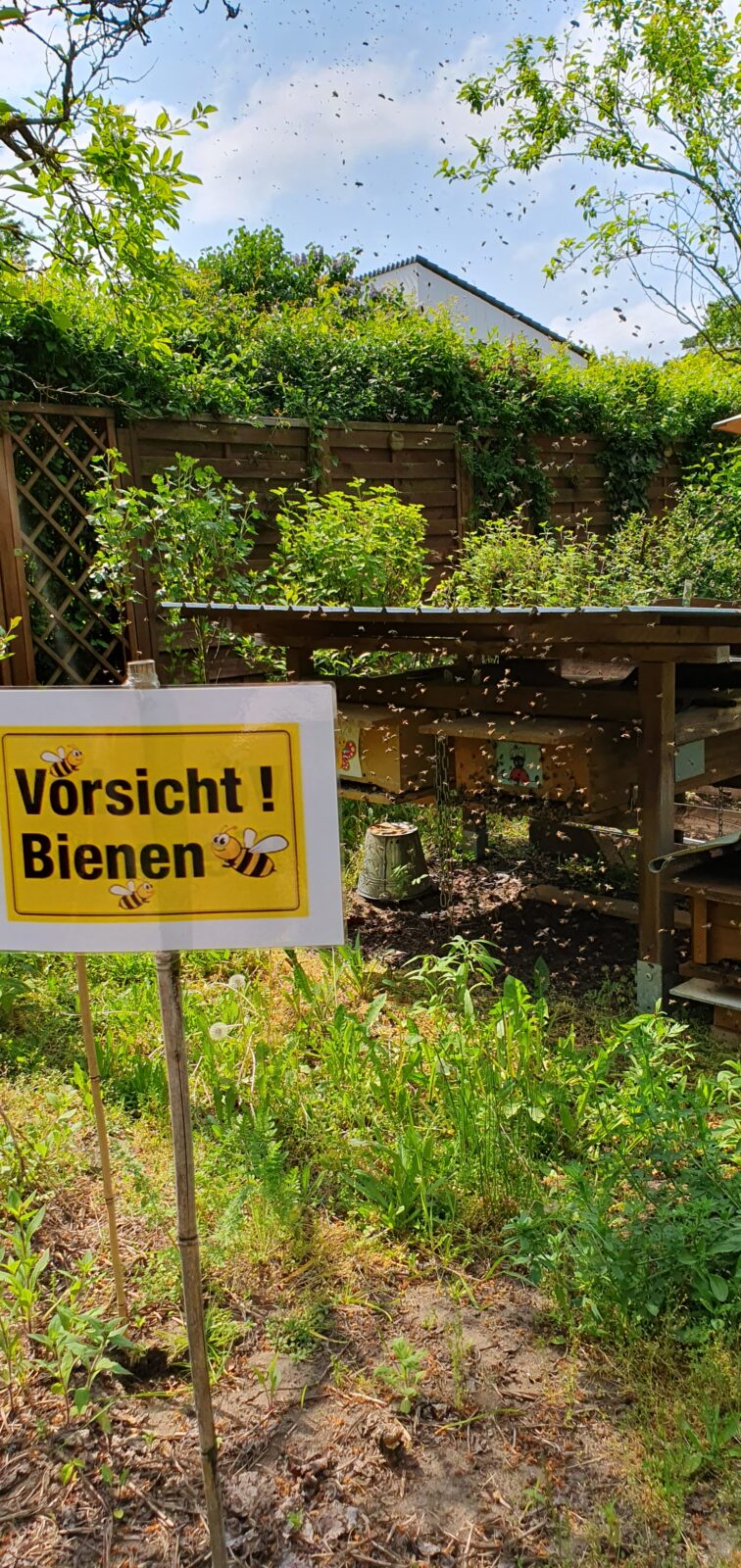 Bienen für die ganze Kolonie