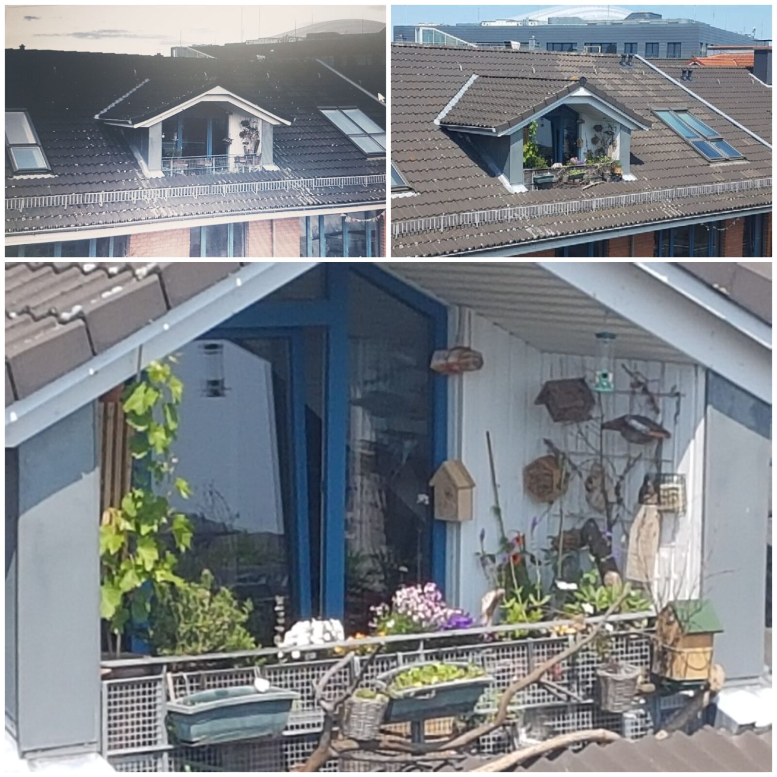 Raum ist in der kleinsten Hütte