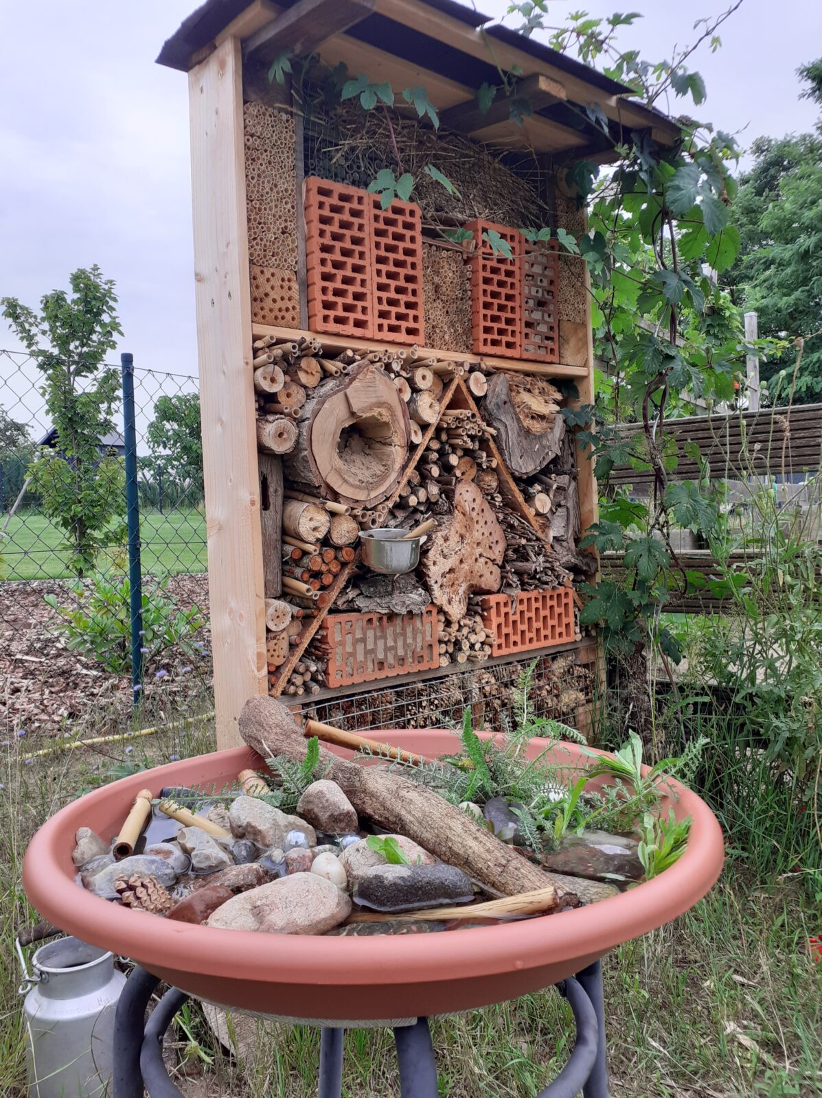 Insekten-Oase