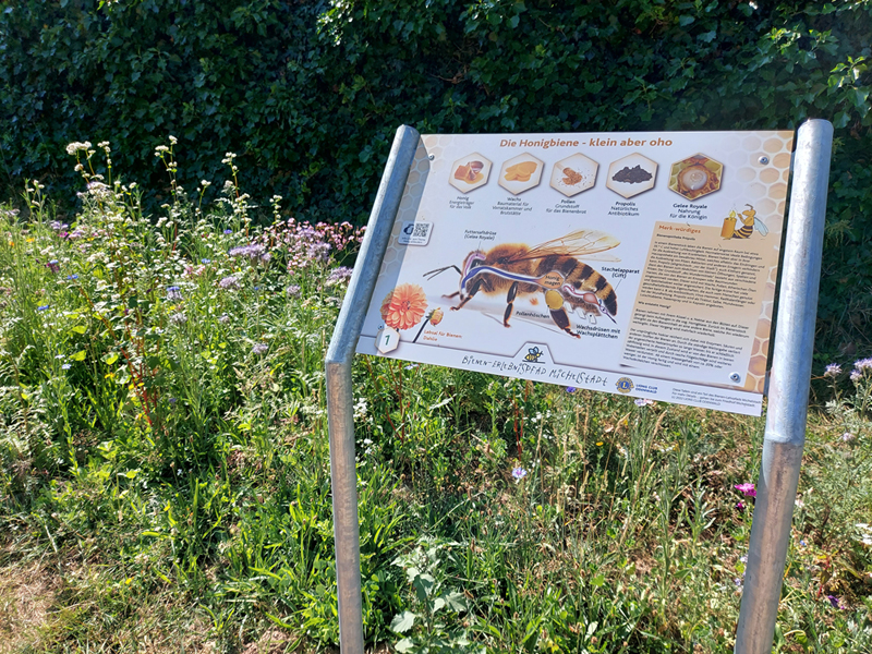 Waldbach-Bienen-Schule