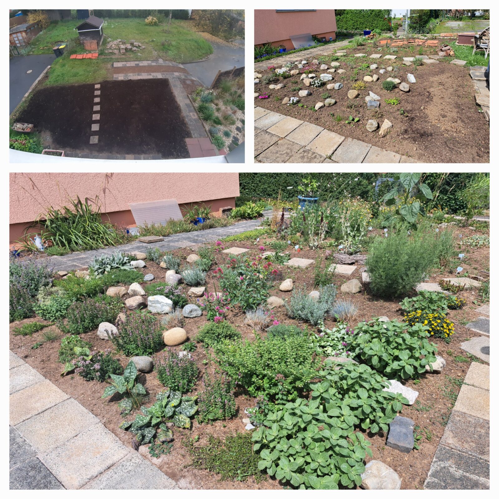 Garten für Faule !?