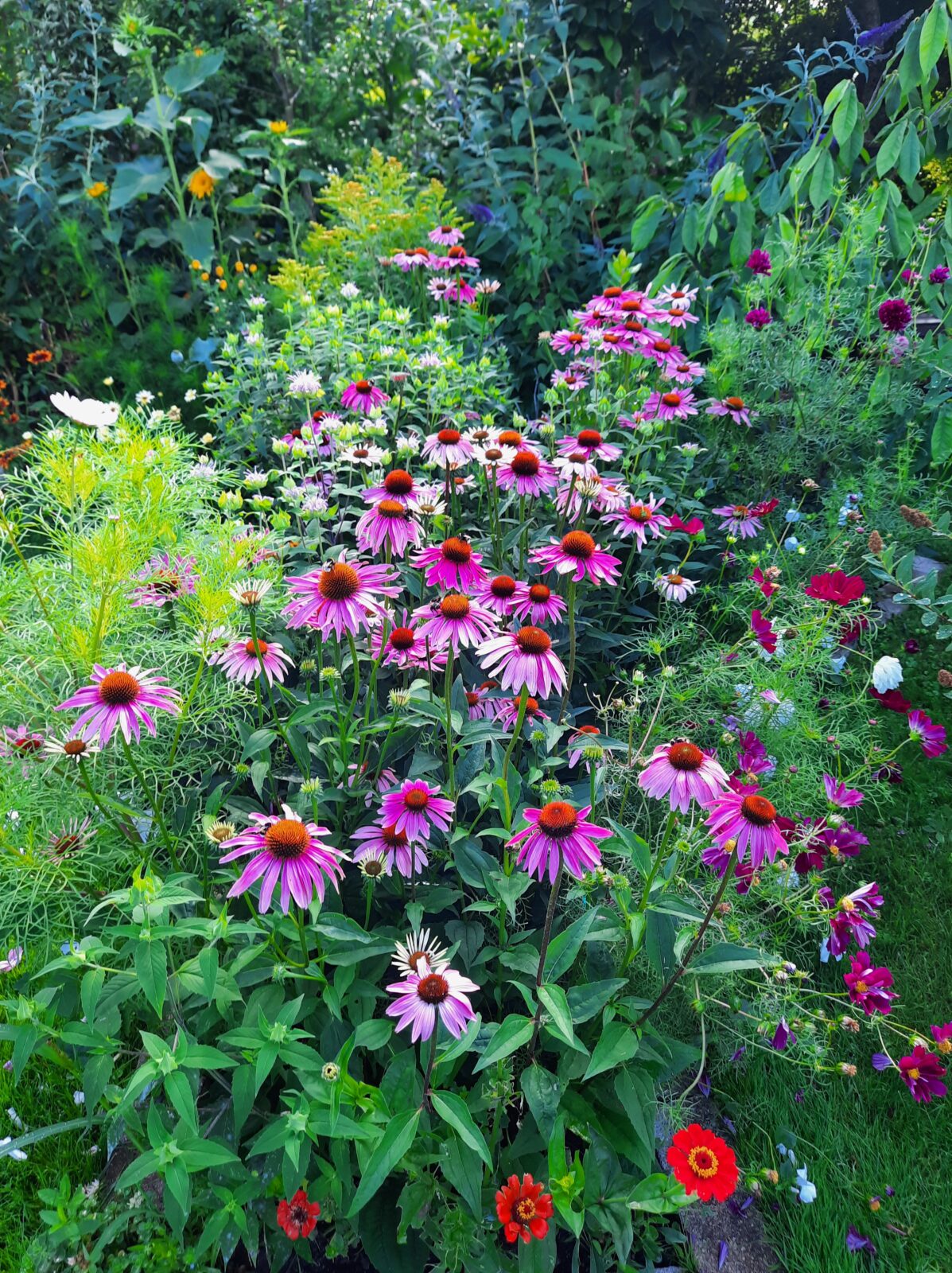 Blüten Landschaft
