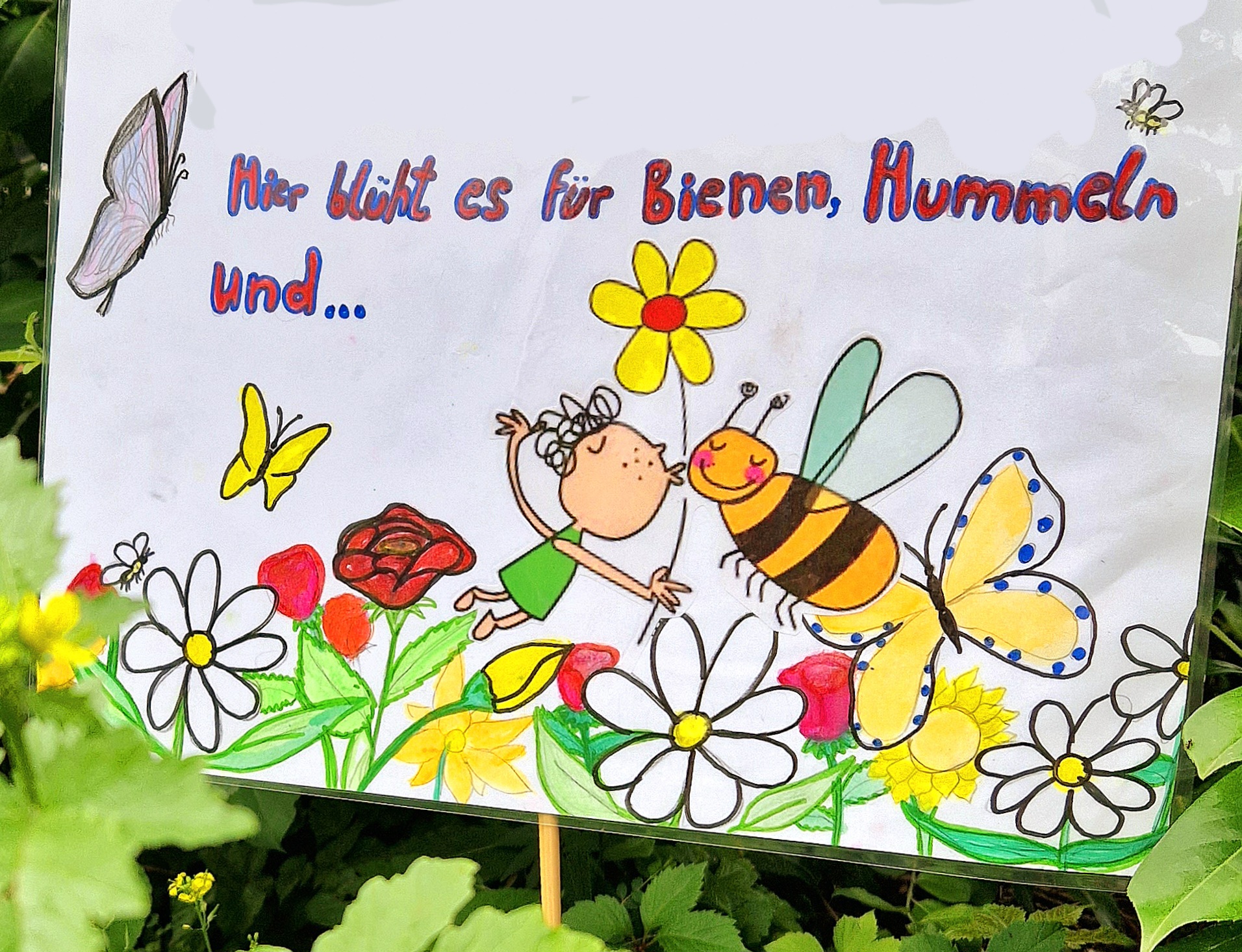 Bunt und wild : Unsere Insektenwiese 🌱🐞