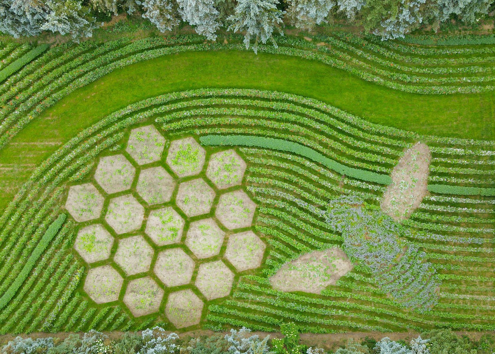 Jacobsdorfer Insekten-Paradies
