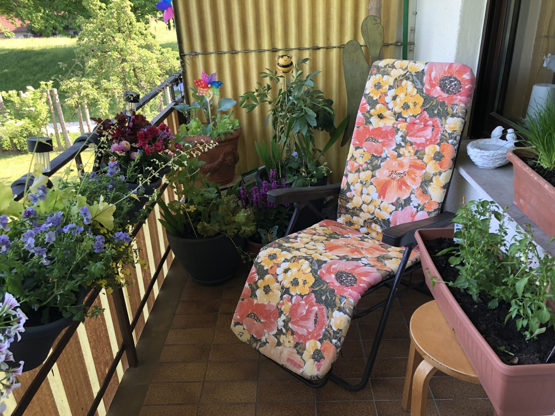 Blühendes Balkonien