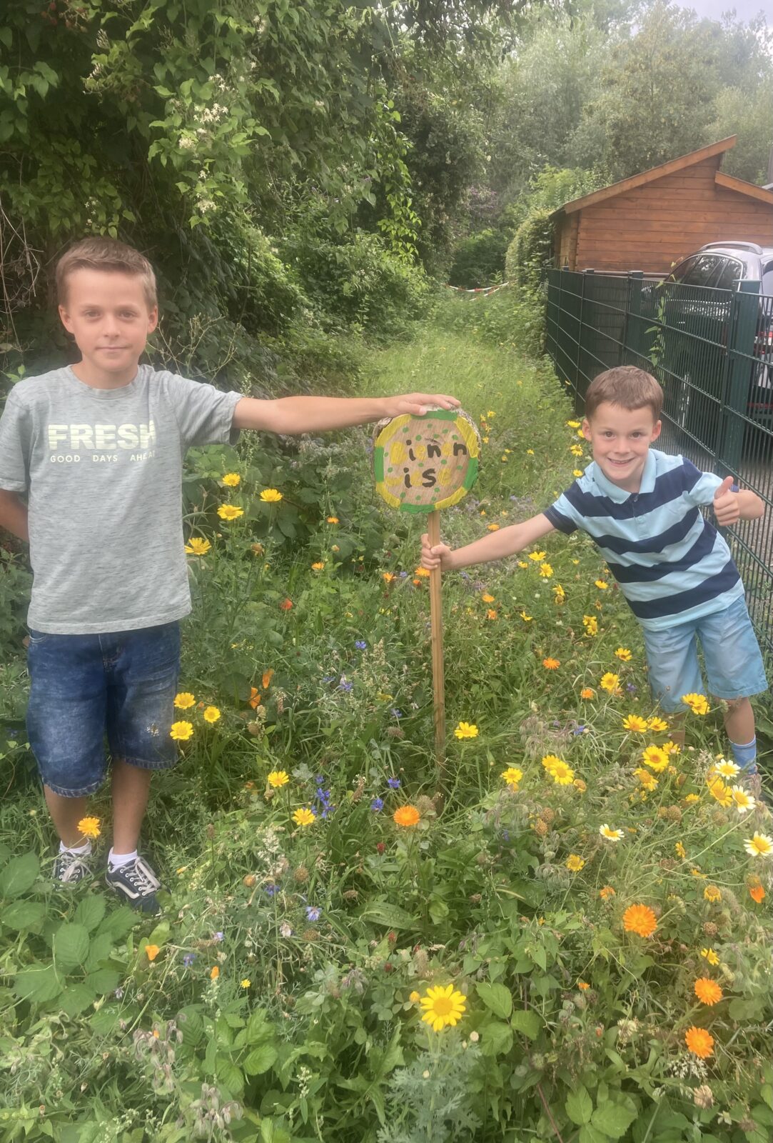 Projekt Bienenwiese „Alter Bauernhof“