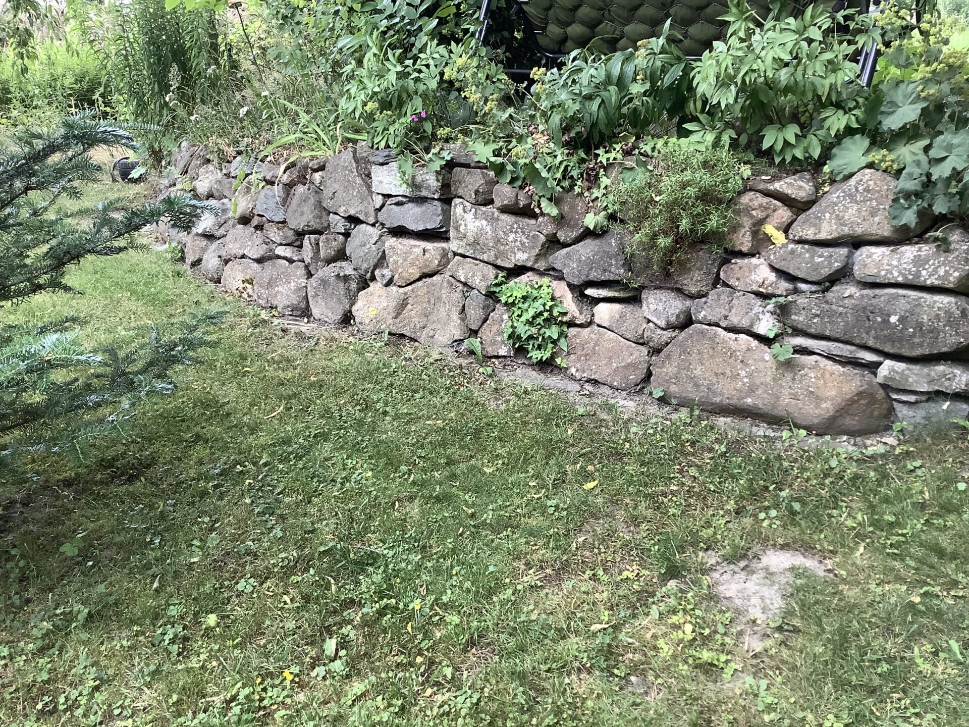 Trockensteinmauer für alles was summt, krabbelt, kriecht, fliegt………..