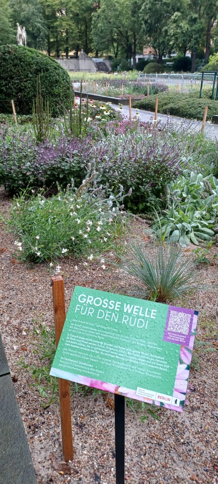 Rüdesheimer Platz – ein Insektenparadies und Gartendenkmal