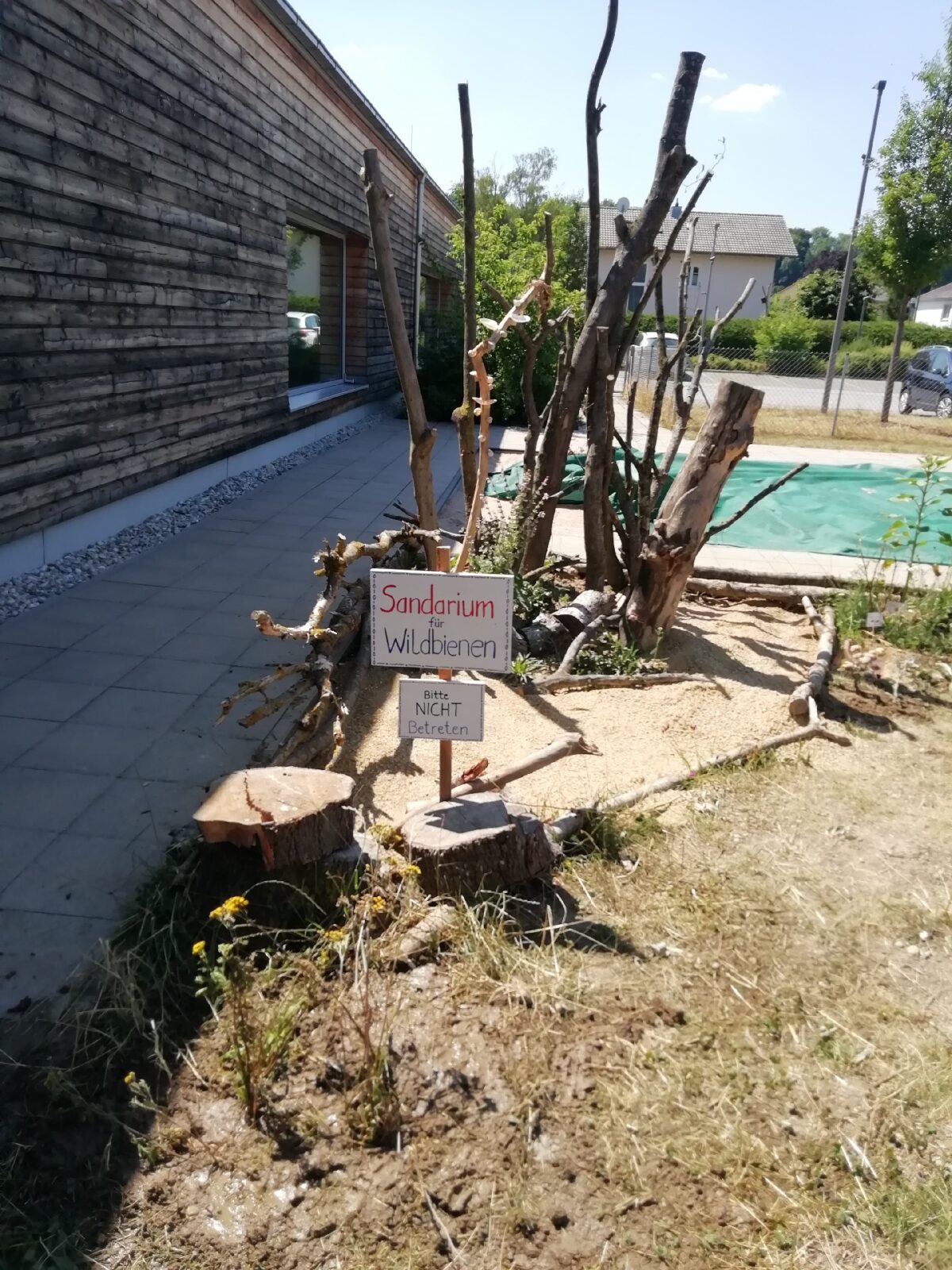 Wildbienen in der Klimaschule