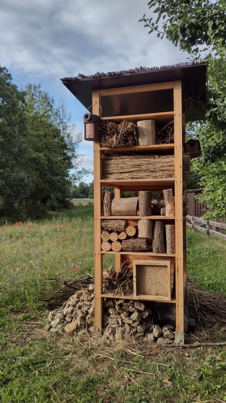 Lebensturm und Blühwiese für Donaueschingen