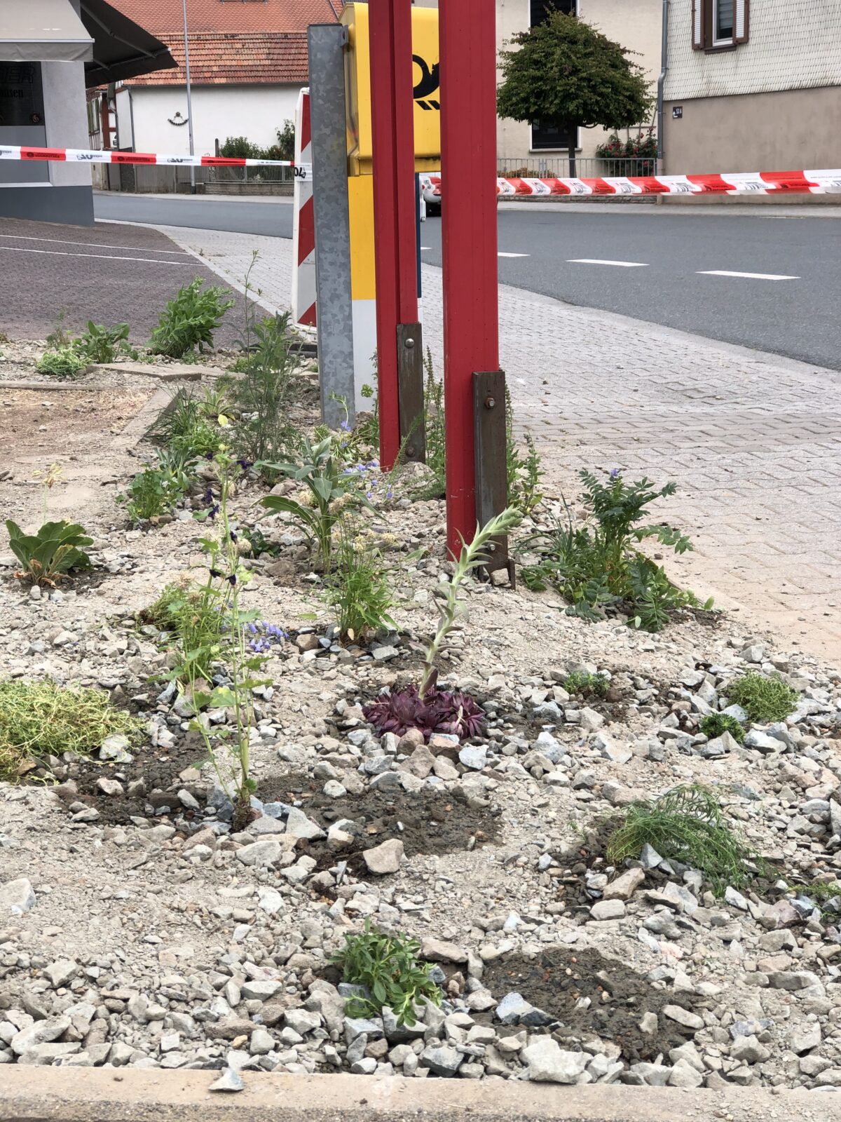 Wildbienenoase am Bürgerhaus