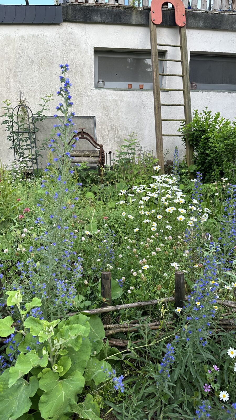 Hortus Phönix- Aus dem nichts entstanden