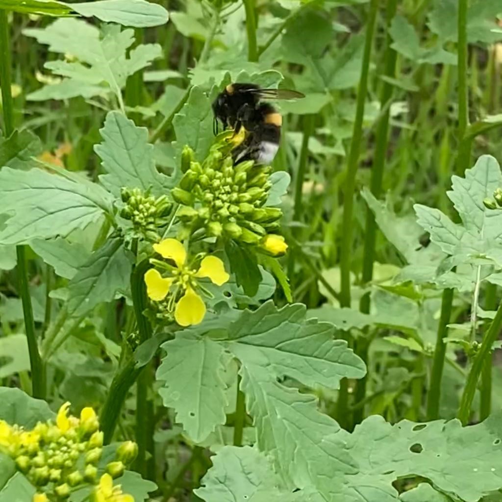 Zurück in die Heimat