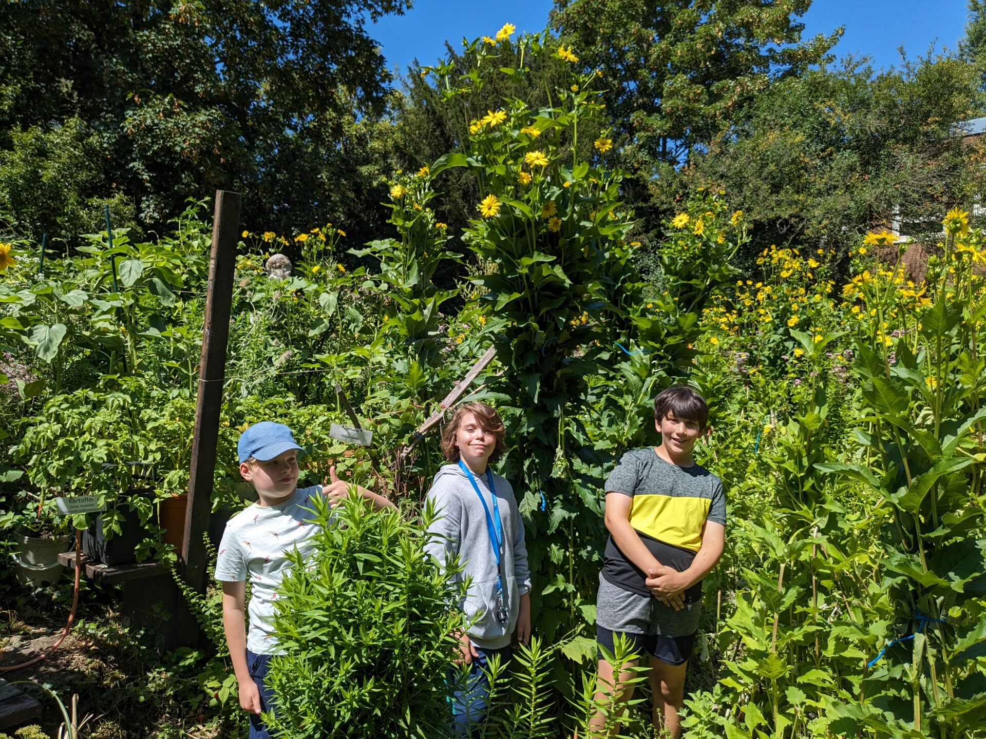 FWG Garten-AG in Trier