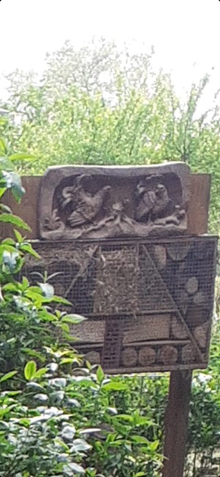 Kleingartenanlage  Insektenhotel