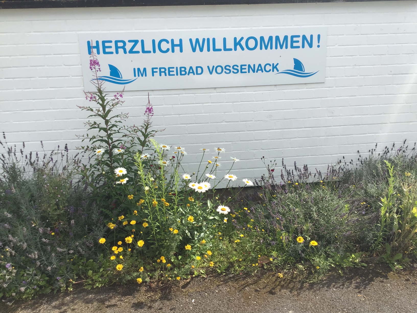 Im Freibad Vossenack „geht die Natur nicht baden“!