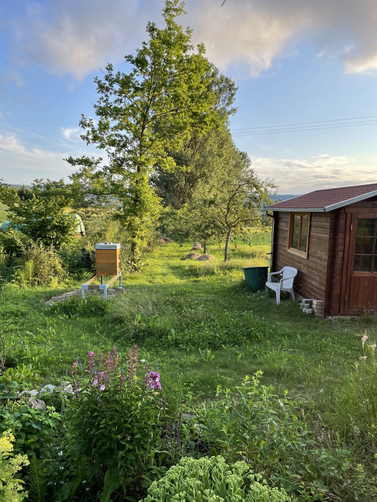Martinas und Karstens Bienenstand und Streuobstwiese