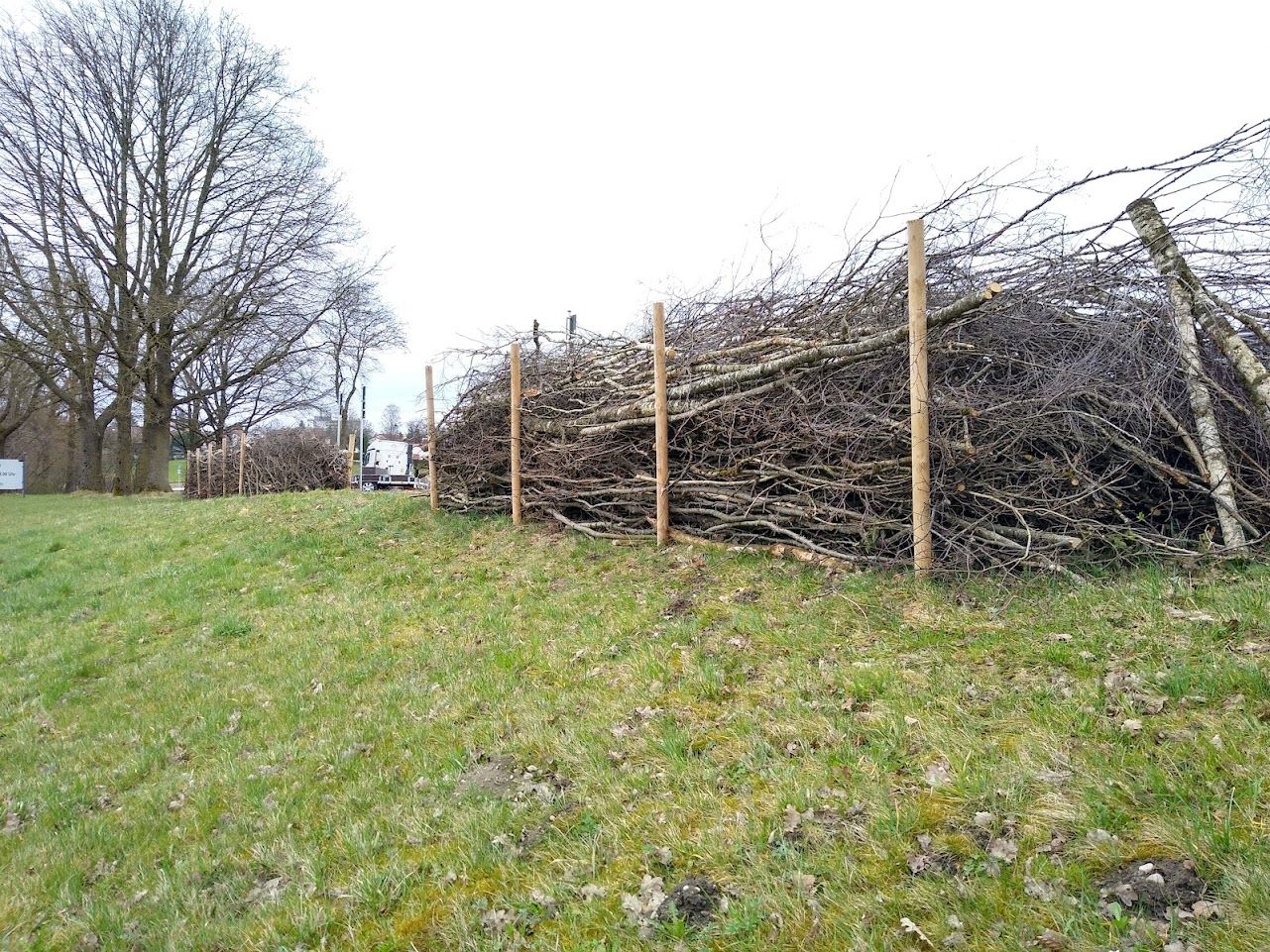 Unsere Totholzhecke – Struktur für mehr Vielfalt