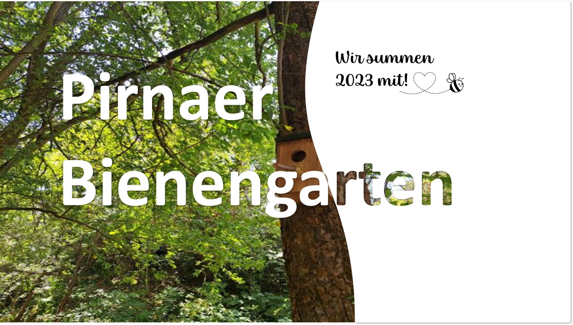 Pirnaer Bienengarten