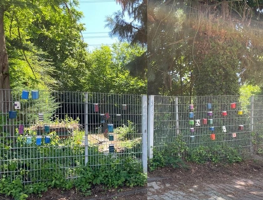Schulgarten AG Gyho