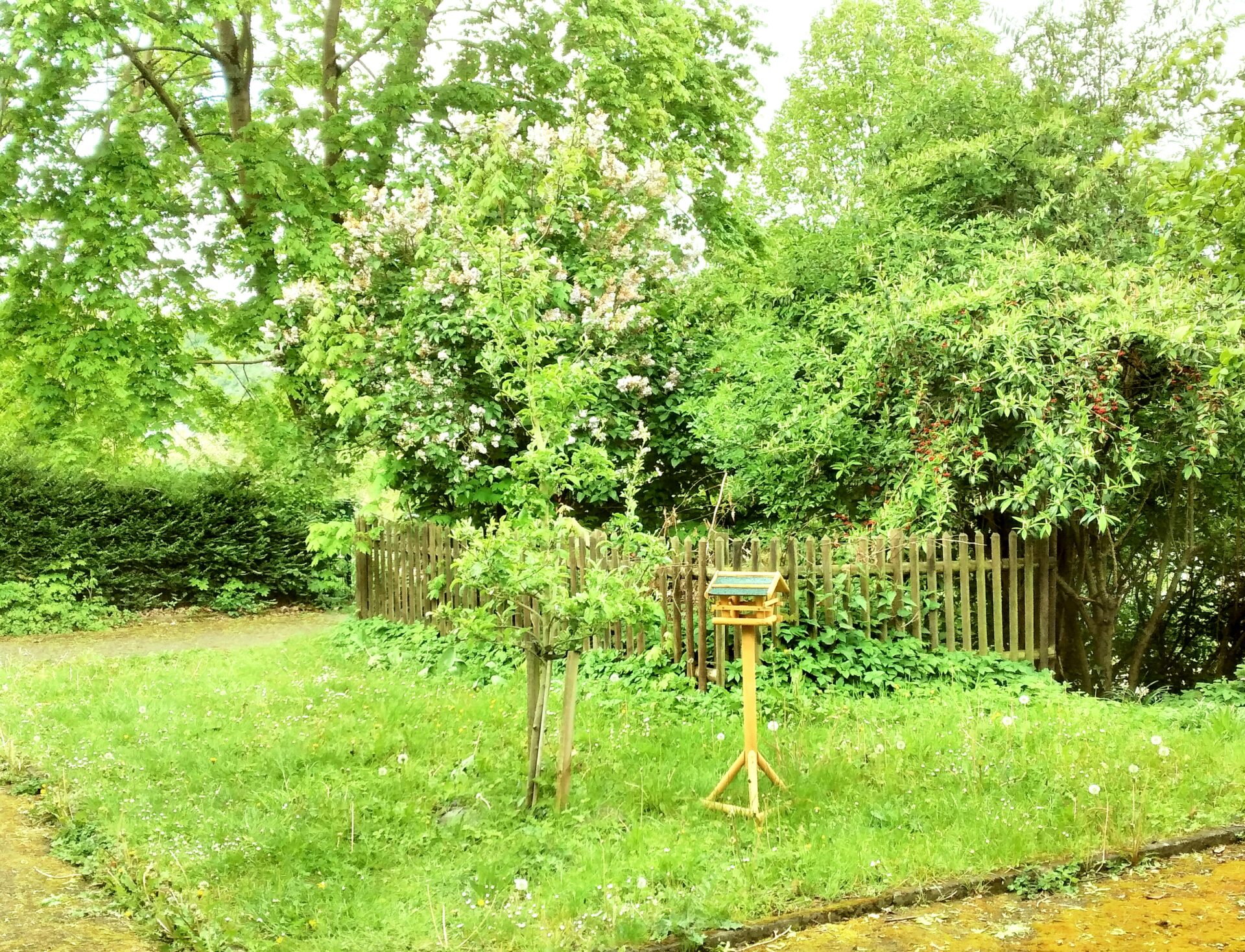 Unsere Gartenfläche