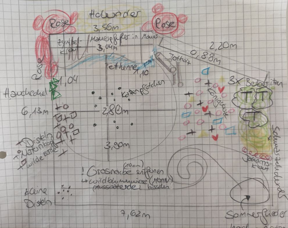 Unsere Schule wird grüner