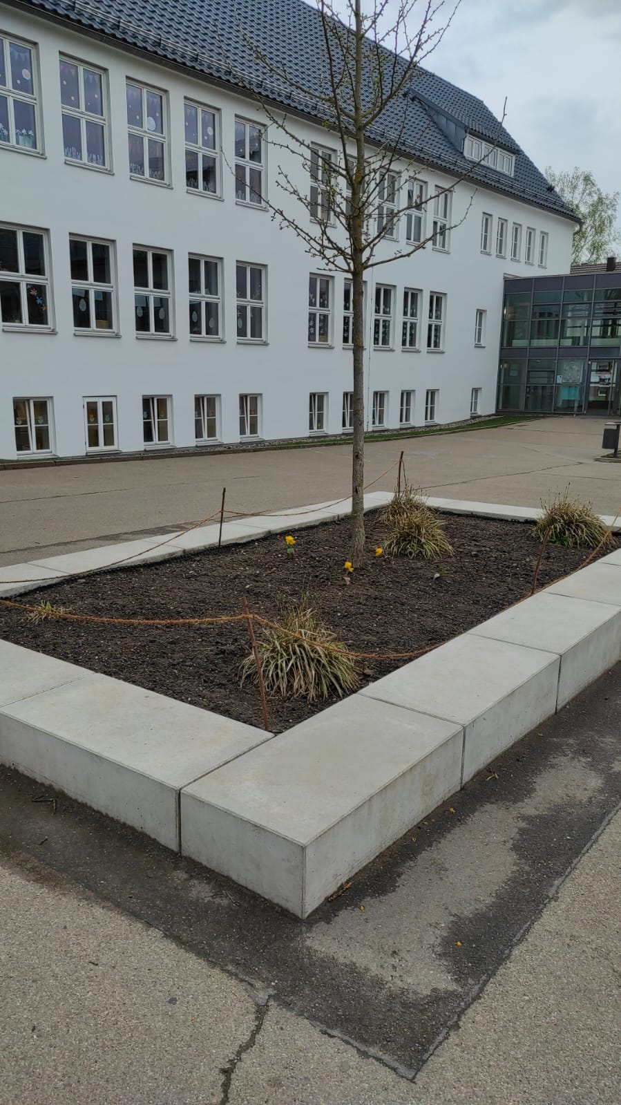 Blühbeete für unseren Schulhof