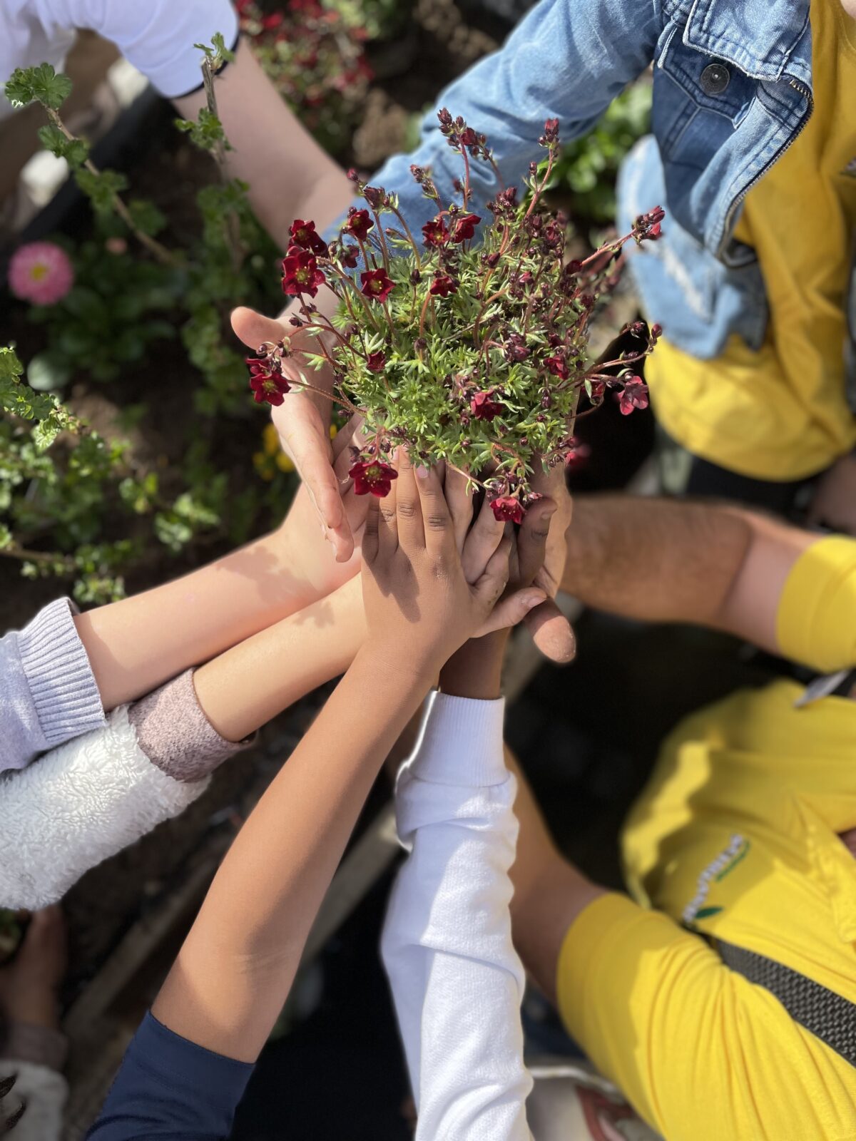 Bienen AG der Schillergrundschule
