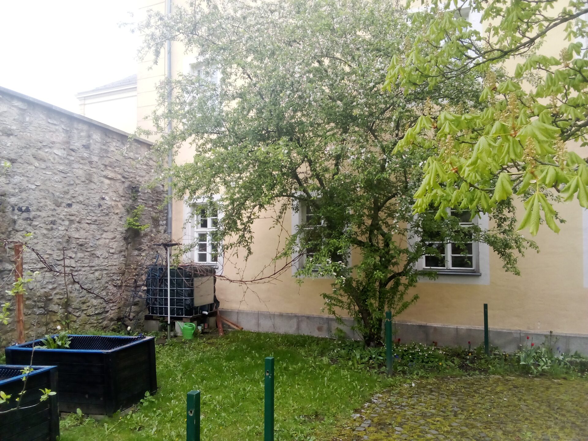 Unser Schulgarten wird insektenfreundlich!