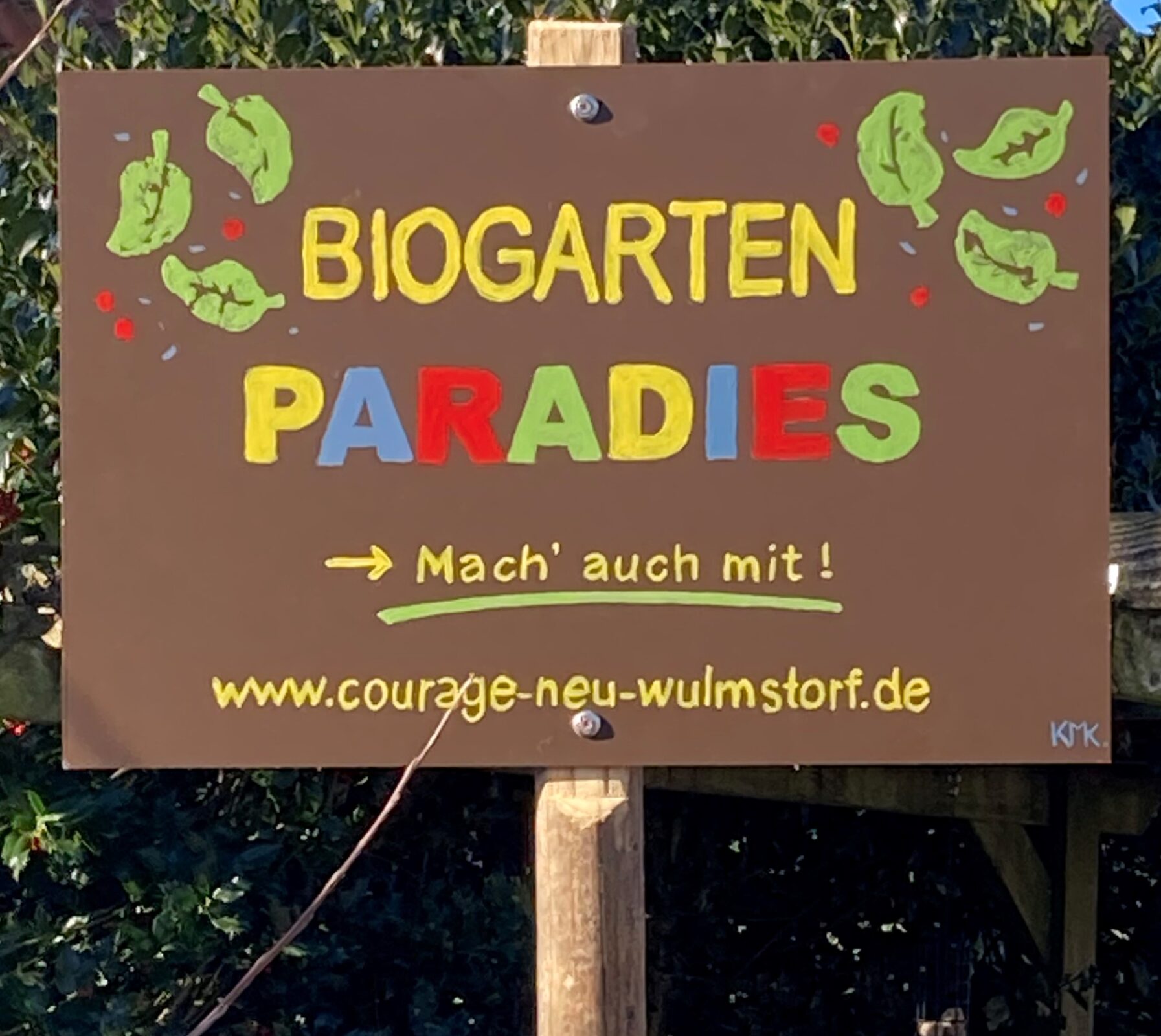Von der Brache zur Wildblumenwiese