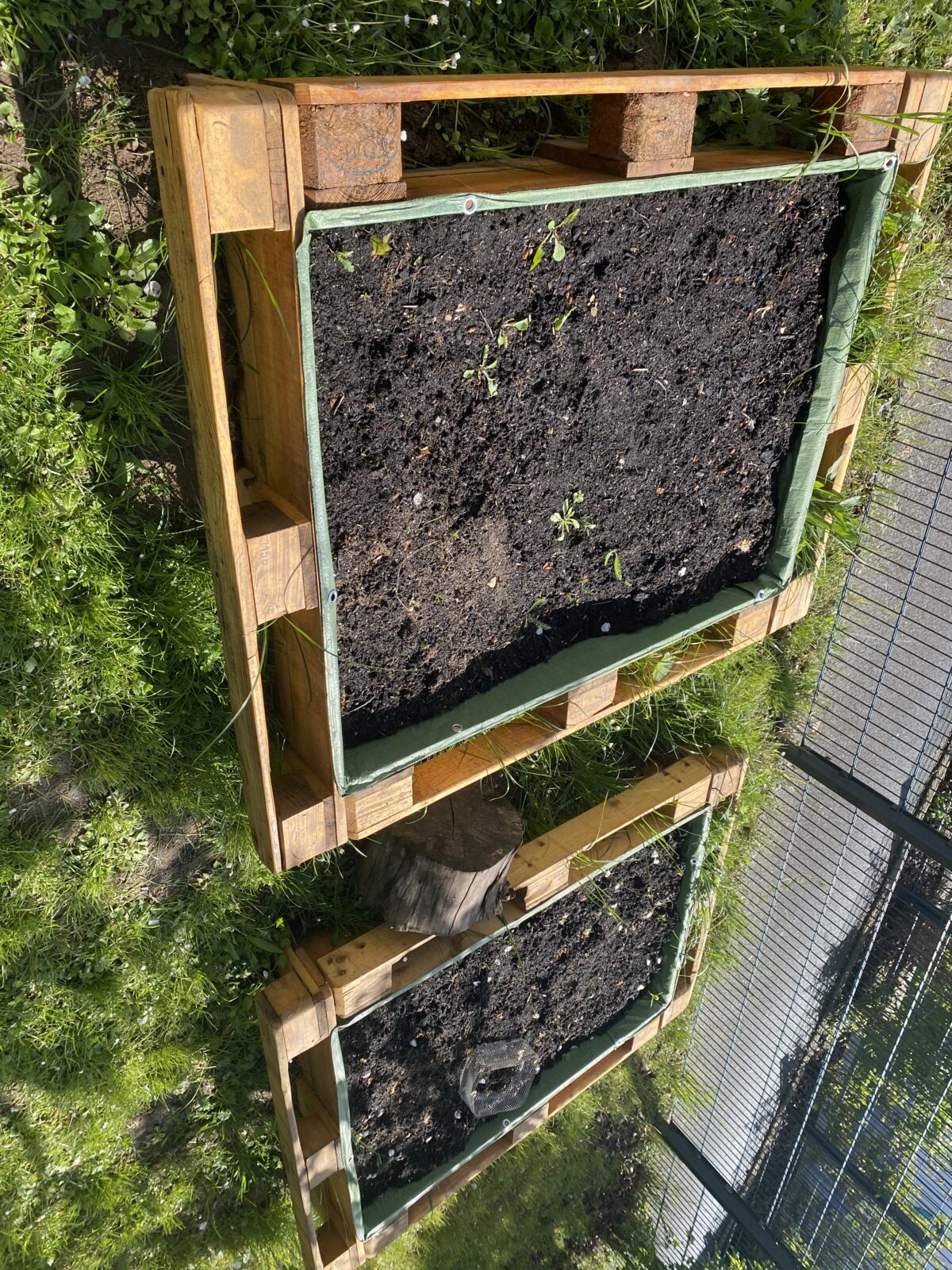 Bepflanzung Hochbeet