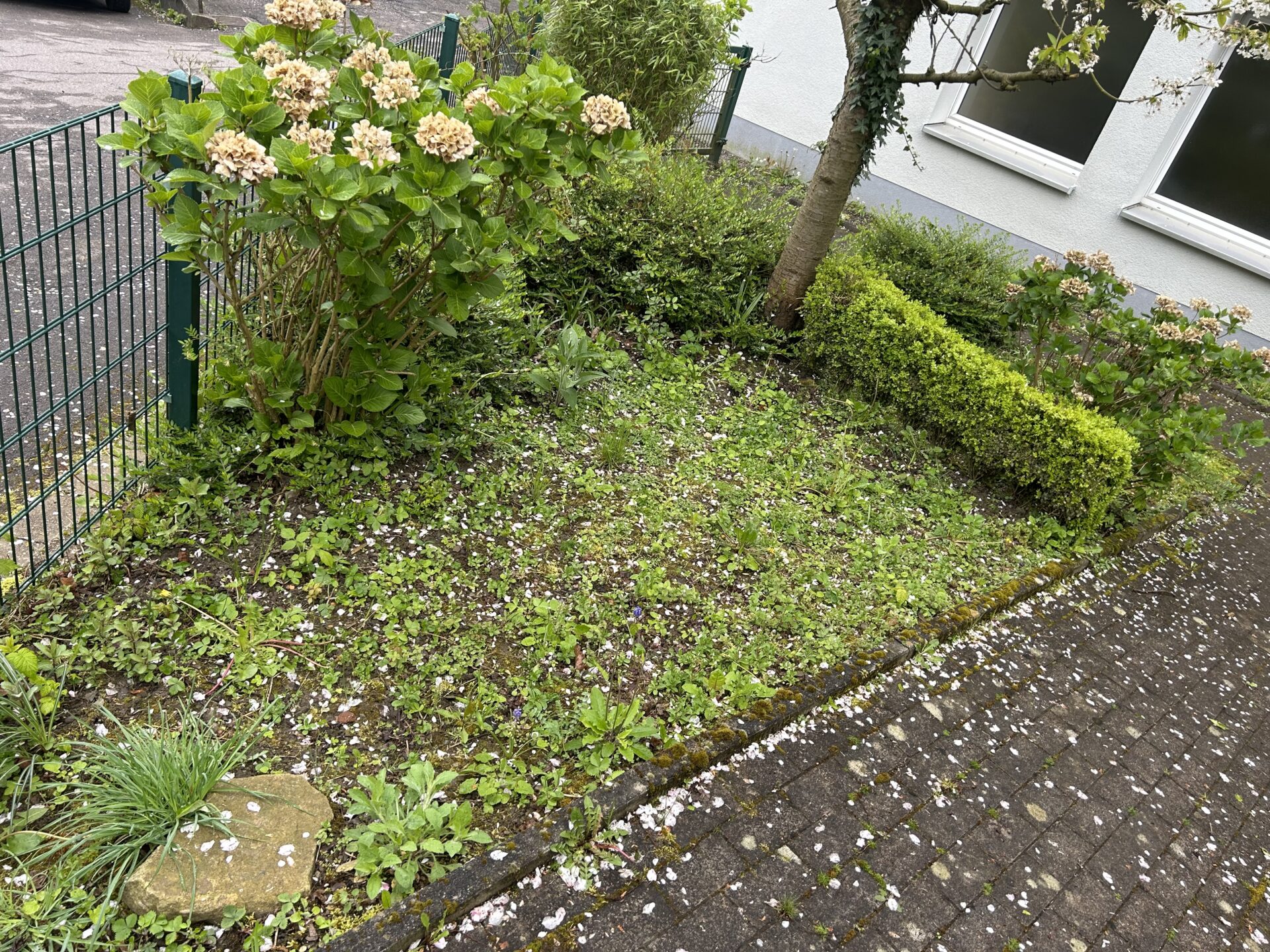 Unser geplantes Blumenbeet im Schulgarten