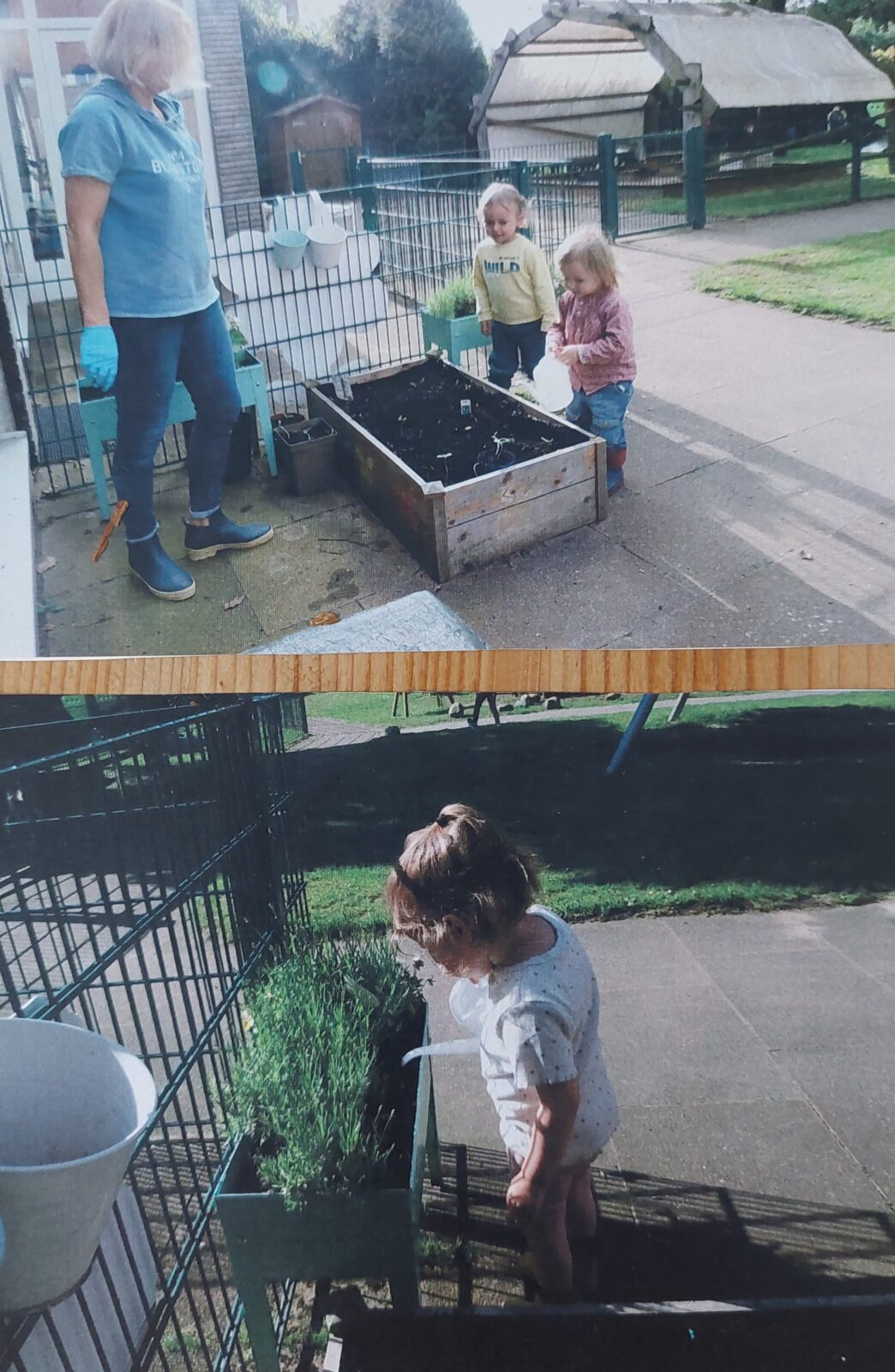 Ein Hochbeet und Wildblumenbeet wird angelegt