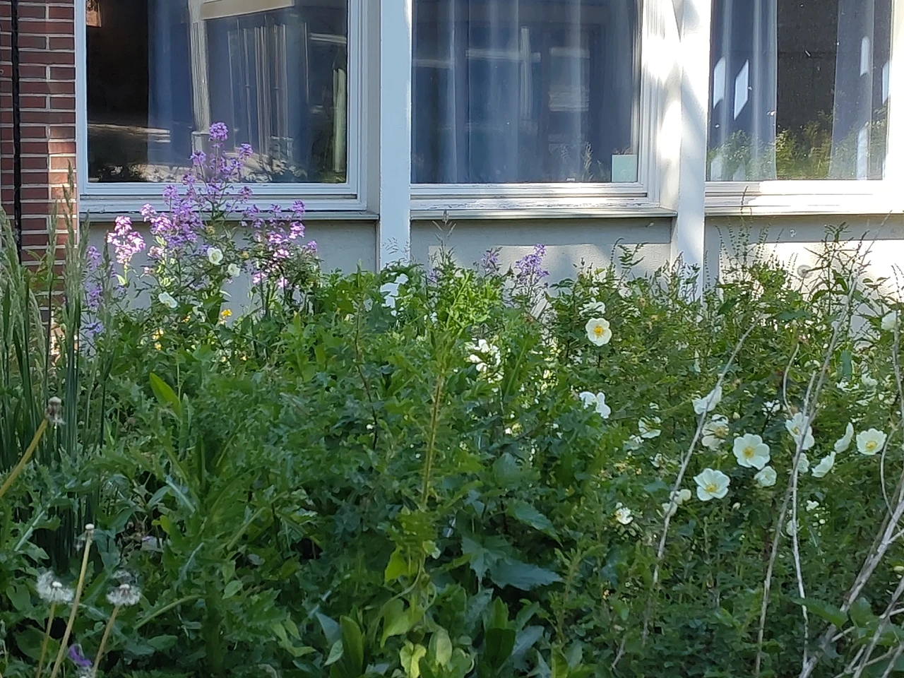Profilklasse „Ökologie in der Stadt –  Umwelt selbst gestalten!“