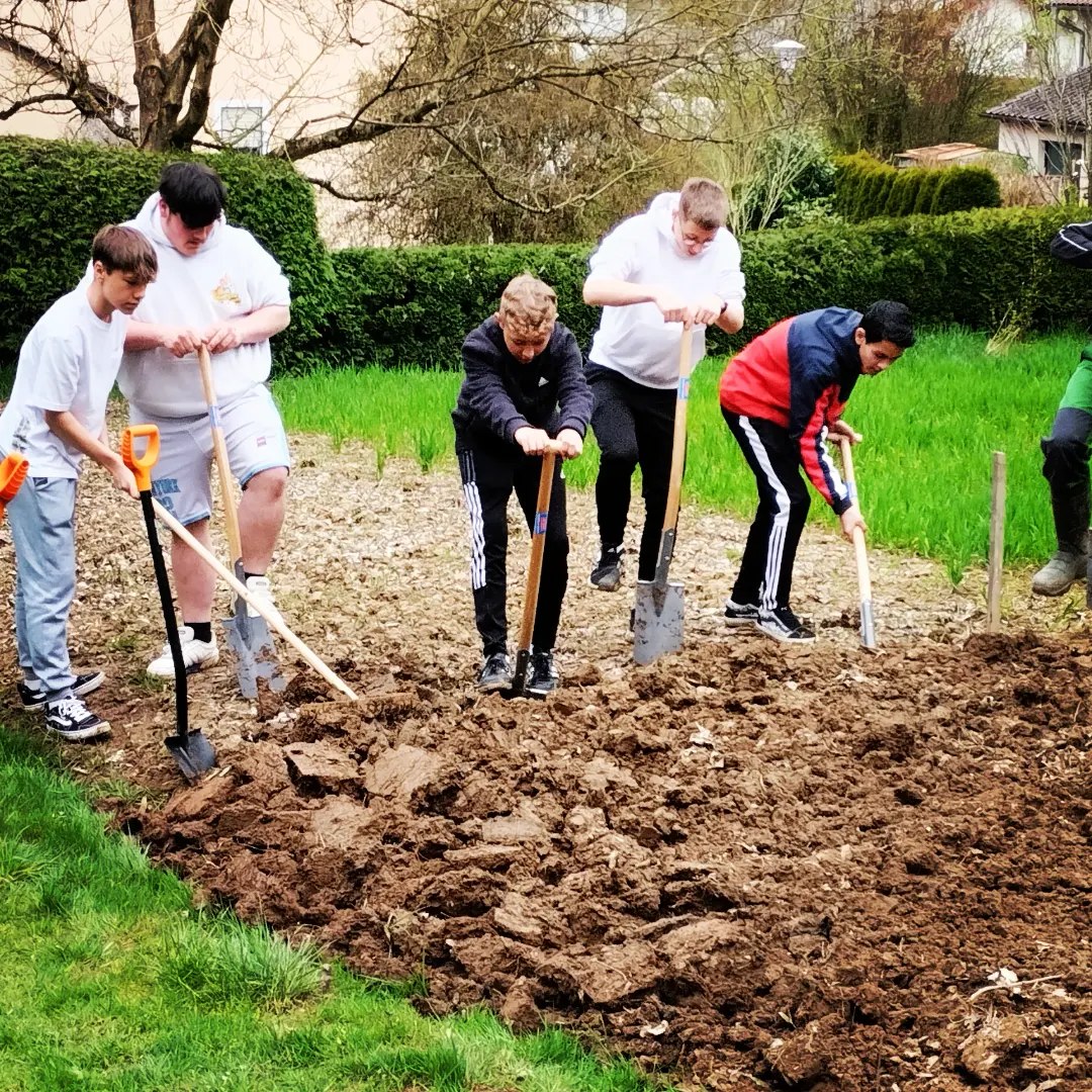 Erdäpfel@school Schulacker mit Wildblumenwiese und Umweltauto