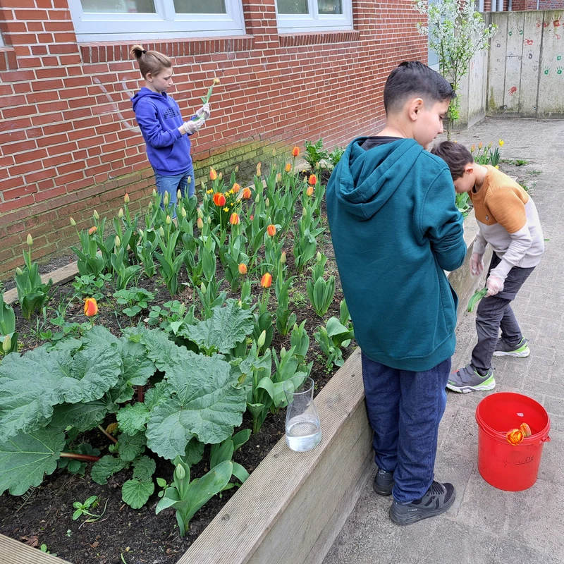 Draußenschule und Garten AG