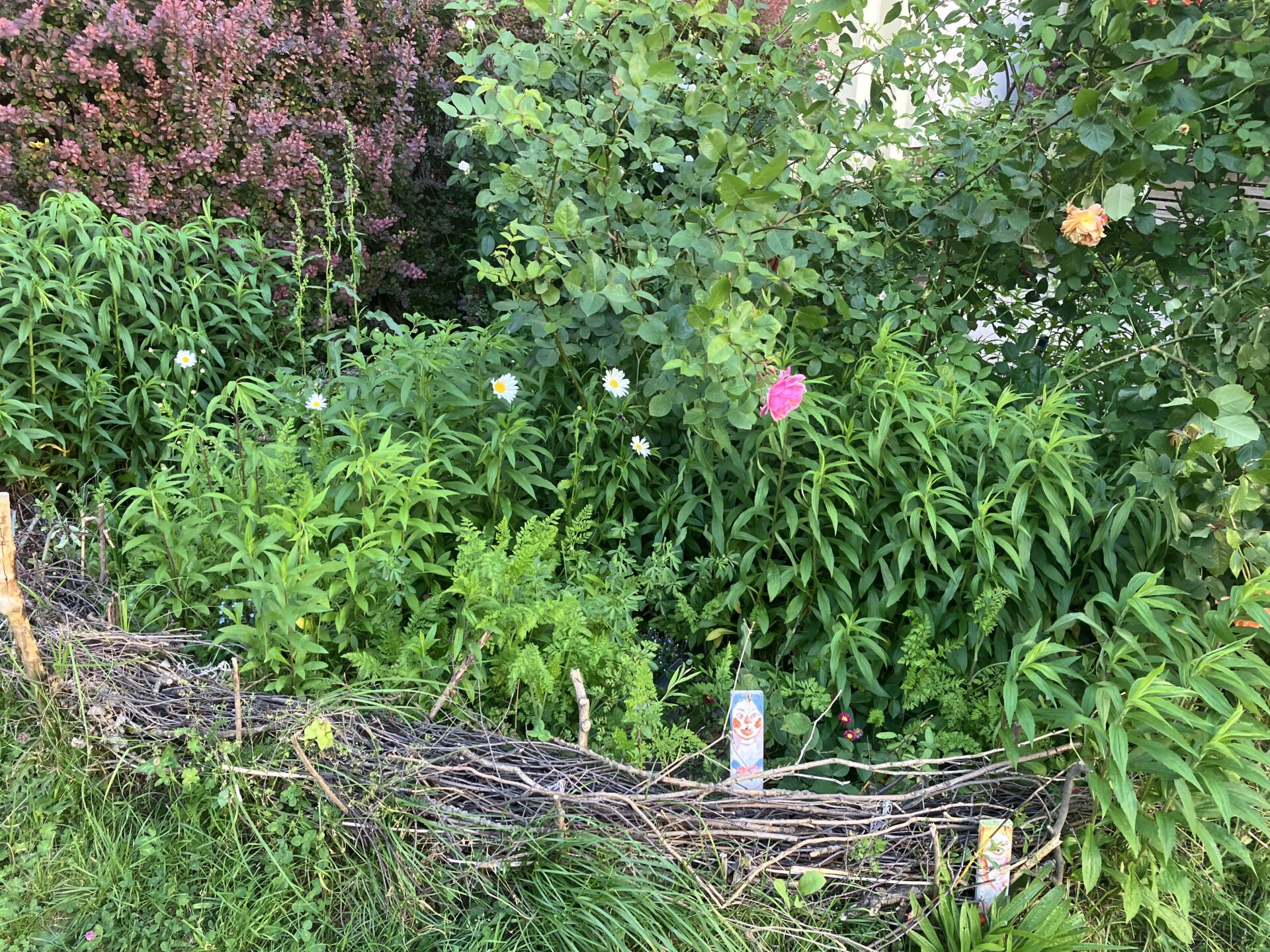 Gemeinsam pflanzen – gemeinsam freuen