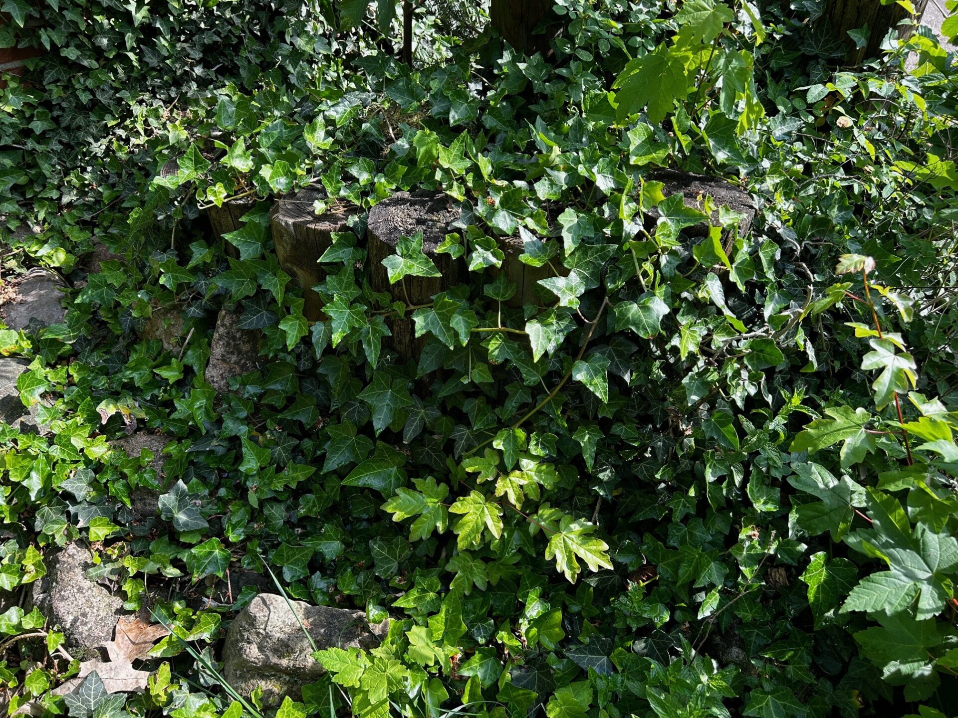Kräuterspirale und Hochbeet